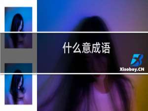 什么意成语
