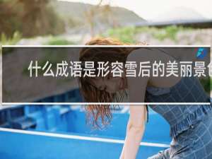 什么成语是形容雪后的美丽景色