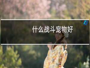 什么战斗宠物好