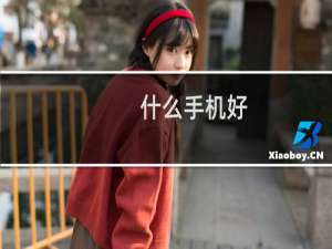 什么手机好？智能手机排行榜2013前十名