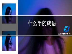 什么手的成语