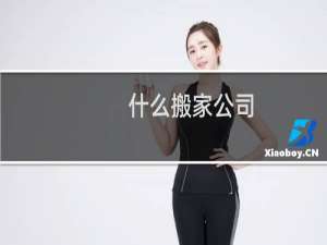 什么搬家公司