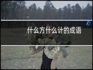 什么方什么计的成语