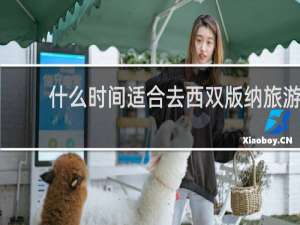 什么时间适合去西双版纳旅游