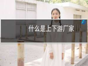 什么是上下游厂家（什么是上下游引物）
