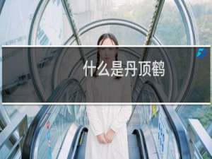 什么是丹顶鹤（什么是丹宁风）