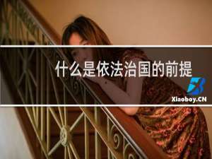 什么是依法治国的前提（什么是依法治国）
