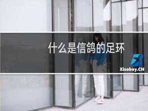 什么是信鸽的足环
