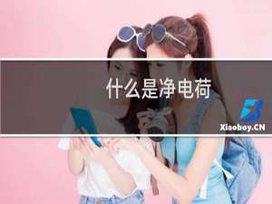 什么是净电荷（什么是净身器啊）