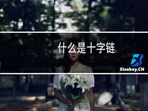 什么是十字链