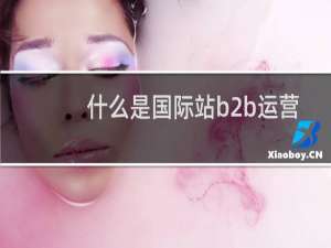 什么是国际站b2b运营