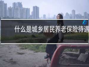 什么是城乡居民养老保险待遇