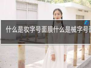 什么是妆字号面膜什么是械字号面膜