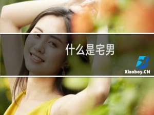 什么是宅男