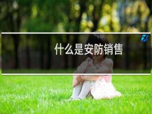 什么是安防销售