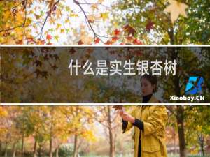 什么是实生银杏树