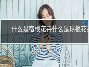 什么是宿根花卉什么是球根花卉