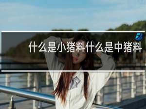 什么是小猪料什么是中猪料