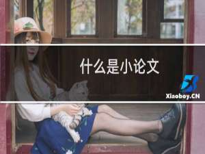 什么是小论文