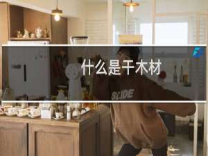 什么是干木材