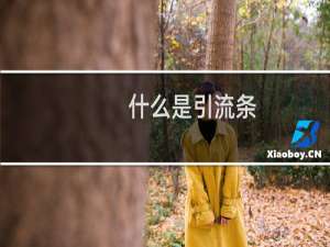 什么是引流条（什么是引产）