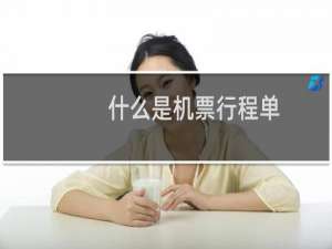 什么是机票行程单