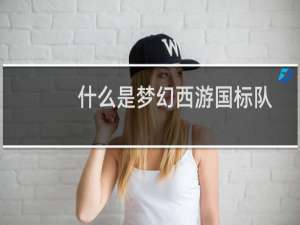 什么是梦幻西游国标队