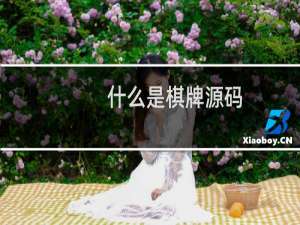 什么是棋牌源码