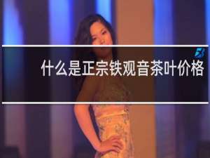 什么是正宗铁观音茶叶价格