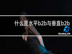 什么是水平b2b与垂直b2b