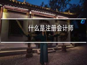 什么是注册会计师