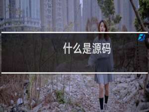 什么是源码