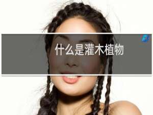 什么是灌木植物