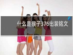 什么是猴子376出装铭文