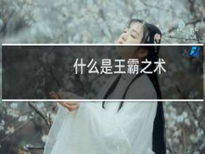 什么是王霸之术（什么是王道）