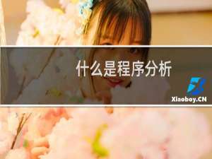 什么是程序分析