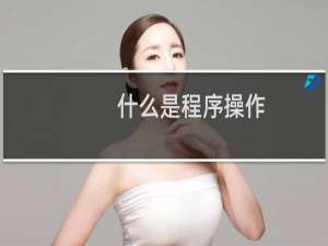 什么是程序操作
