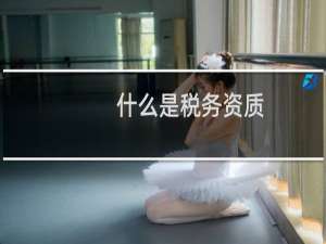 什么是税务资质