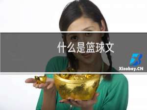 什么是篮球文