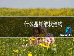 什么是纤维状结构