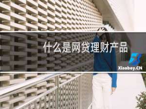 什么是网贷理财产品