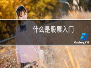 什么是股票入门