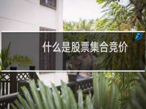 什么是股票集合竞价