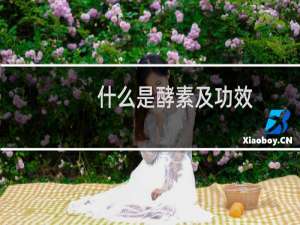 什么是酵素及功效（什么是酵素及功效）