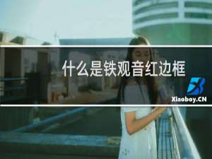 什么是铁观音红边框