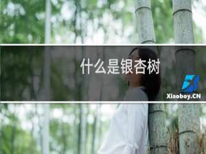 什么是银杏树