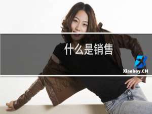 什么是销售（是怎么解释的）