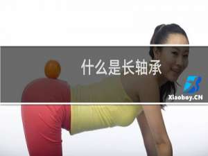 什么是长轴承
