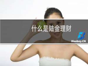什么是陆金理财