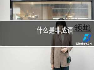 什么是非成语